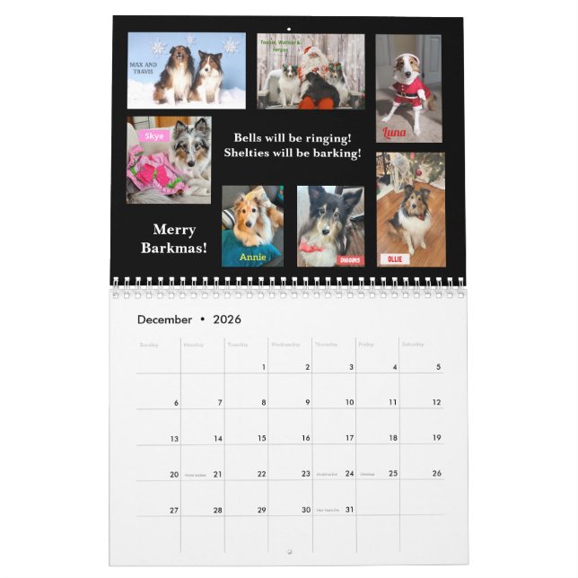 2026 Minnesota Sheltie Rescue Calendar Kalender (Dec 2026)