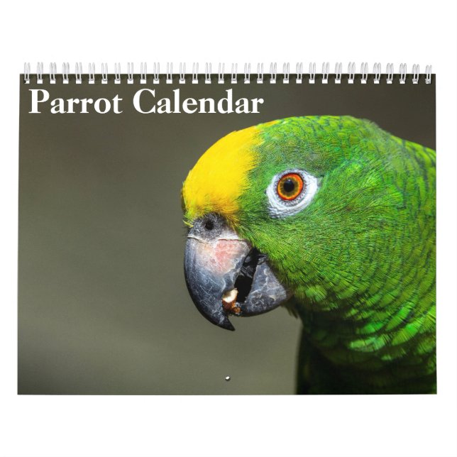 2026 Papegojkalender Kalender (Omslag)
