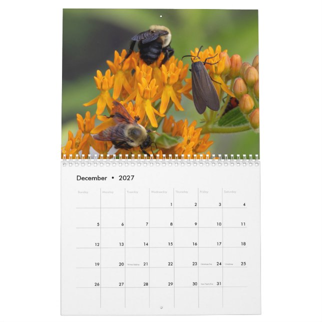 2026 Pollinator’s Perspective: A Year of Wings Kalender (Dec 2027)