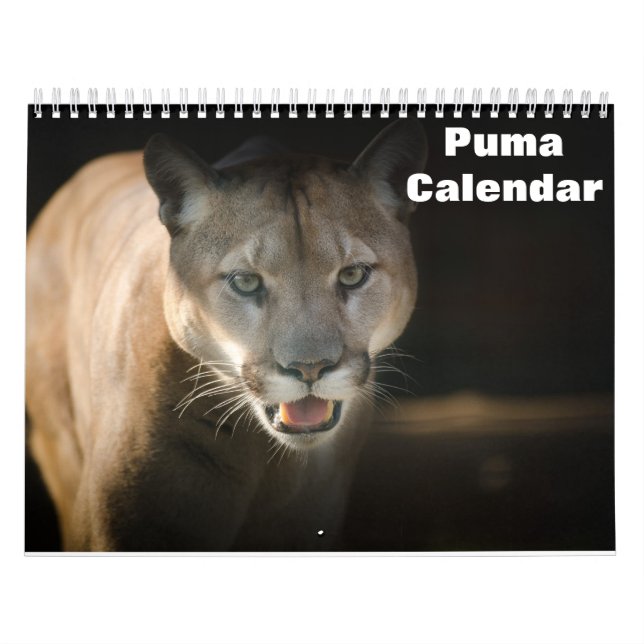 2026 Puma Kalender (Omslag)