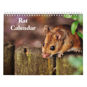 2026 Råtta Kalender