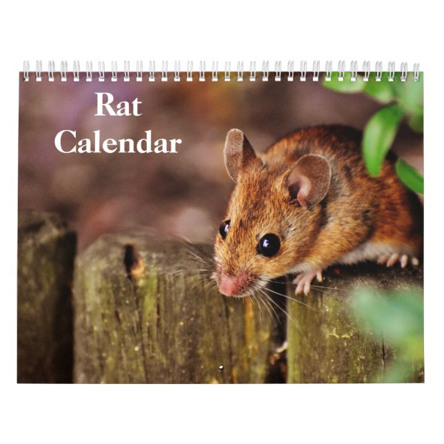 2026 Råtta Kalender (Omslag)