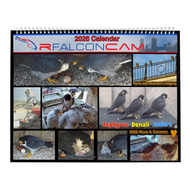 2026 Rfalconcam Calendar Kalender (Omslag)