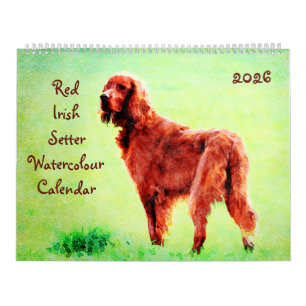 2026 Röd Irländsk Setter Hundrasägare Älskarpresen Kalender