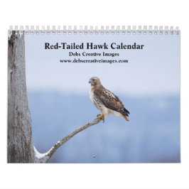 2026 Röda segelHawks in the Hudson Valley Kalender