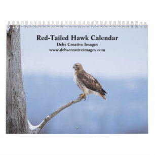2026 Röda segelHawks in the Hudson Valley Kalender