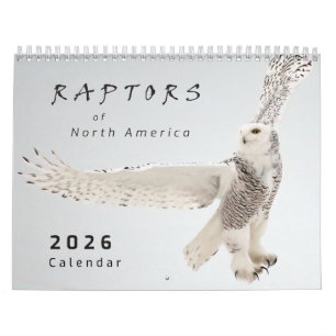 2026 Rovfåglar i Nordamerika Fågel Foto Kalender