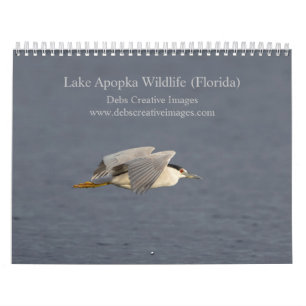 2026 Sjö Apoka Wildlife i Florida Kalender