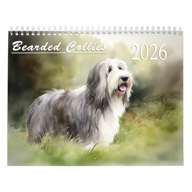 2026 Skäggiga Collie-Kalender Kalender (Omslag)