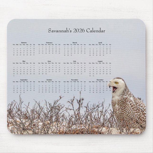 2026 Snowy Owl Full-Year Customizable Calendar  Musmatta (Framsidan)