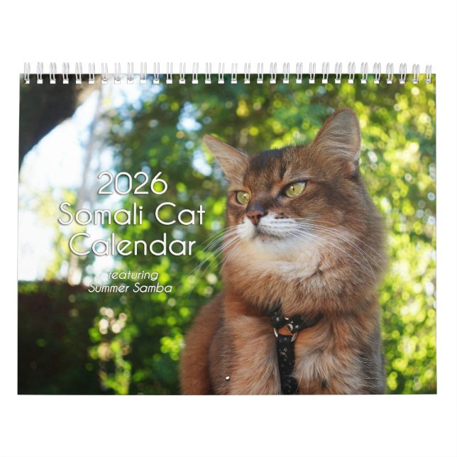 2026 Somali Cat Calendar Featuring Summer Samba Kalender (Omslag)