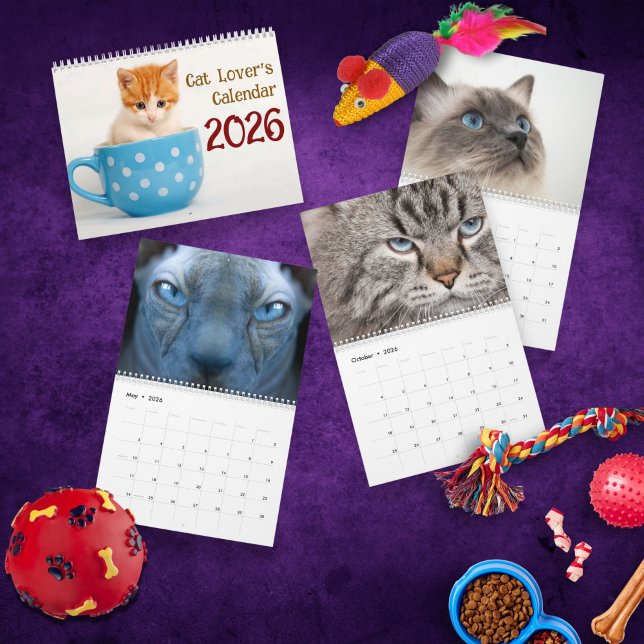 2026 söta kattraser Foto – för kattälskare Kalender (Skapare uppladdad)