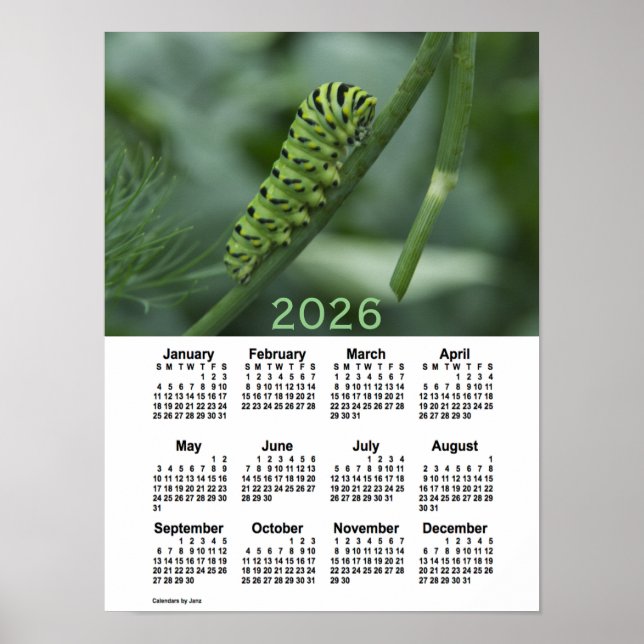2026 Svälj Svan Caterpelarkalender från Janz Poster (Framsidan)