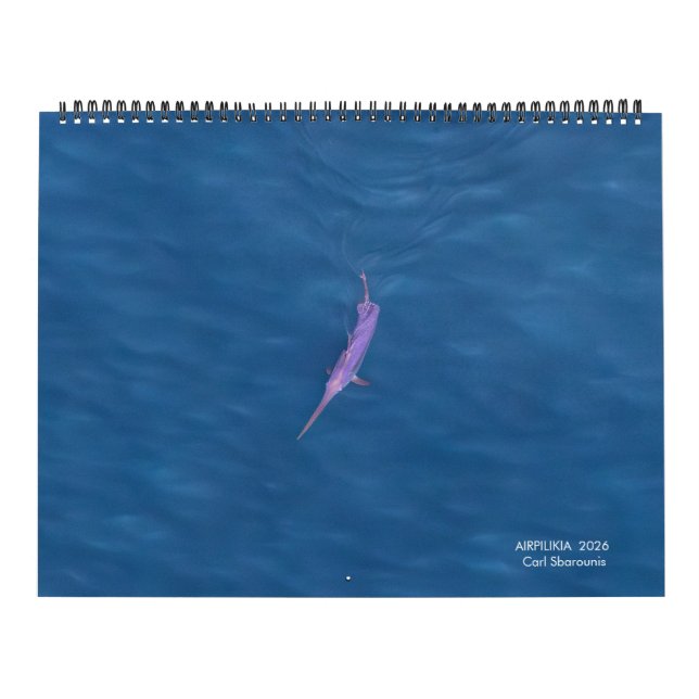 2026 Swordfish Calendar Kalender (Omslag)