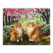2026 Tony and Teddy Maine Coons Calendar