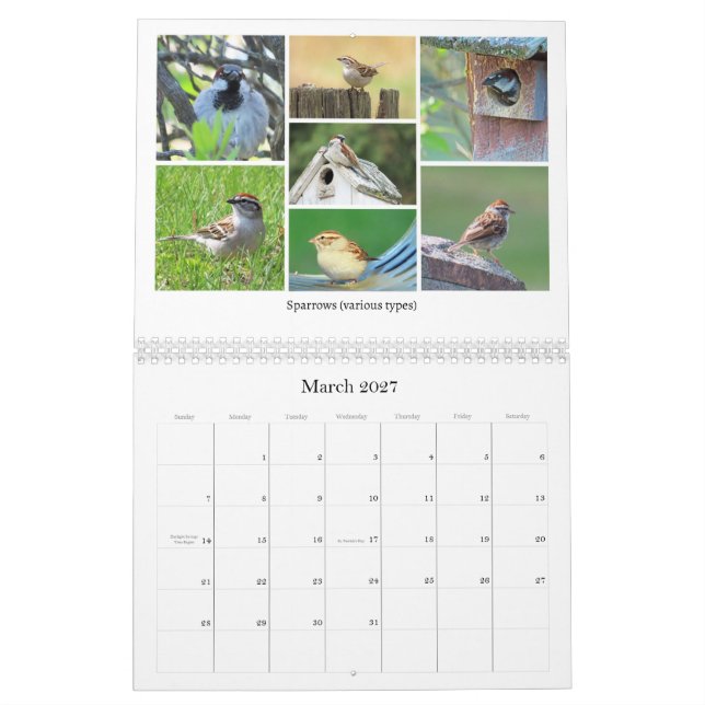 2026 Trädgårdsfågelkalender Kalender (Mar 2027)