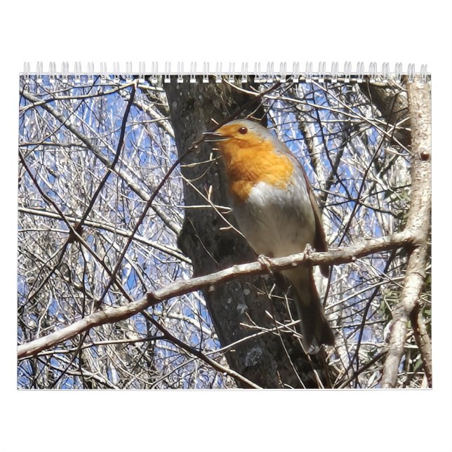 2026 Travel Notes Calendar Kalender (Omslag)