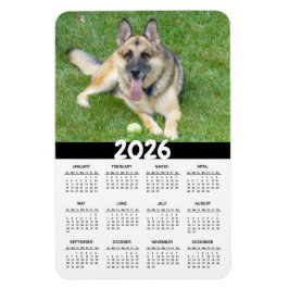 2026 Tysk Shepherd Hund Calendar Magnet