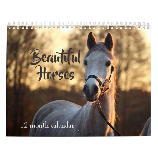 2026 Vackra hästar Kalender (Omslag)