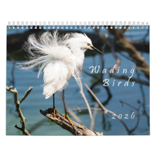 2026 Vadarfåglar Original Fotokalender Kalender