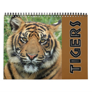 2026 Vild Tiger Kalender