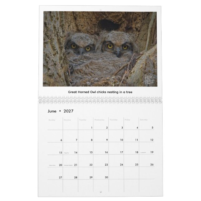 2026 Vilda djur-kalender av Kevin Harris Kalender (Jun 2027)
