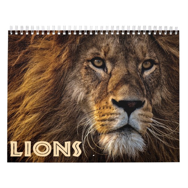 2026 Vilda Lejon Kalender (Omslag)