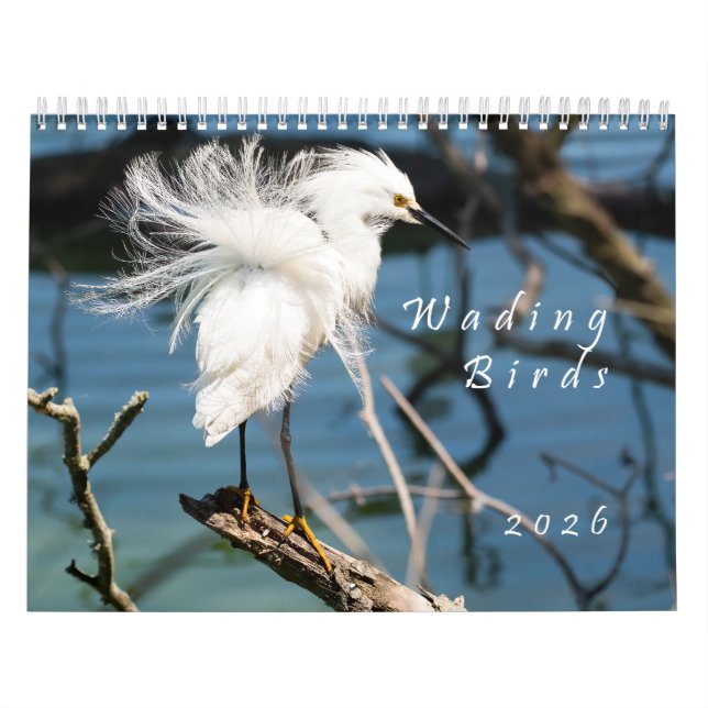 2026 Wading Birds Original Photo Calendar Kalender (Omslag)