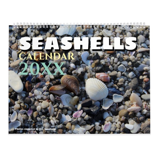 2026 Wall Seashell Calendar Beach Shells Gift Kalender (Omslag)