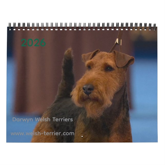 2026 Welsh Terrier Calendar Kalender (Omslag)