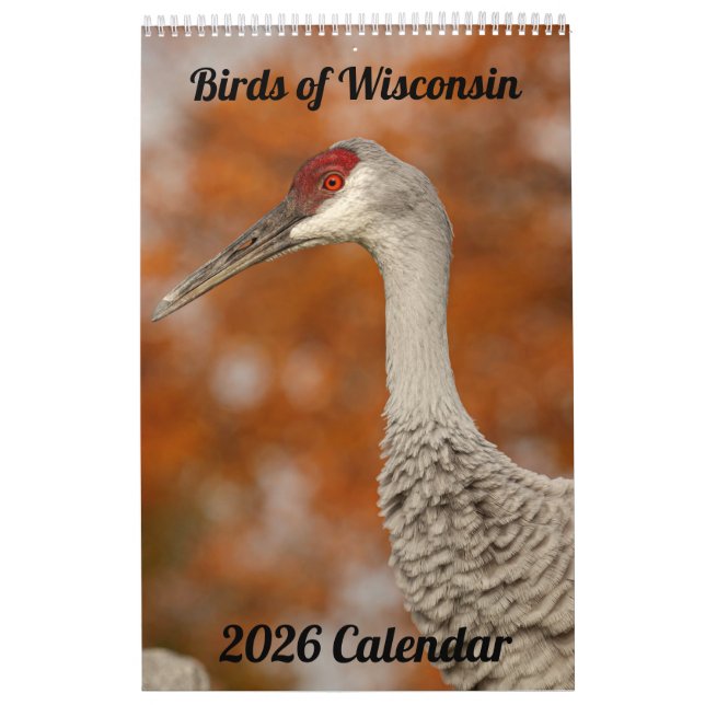 2026 Wisconsin Birds Calendar Kalender (Omslag)