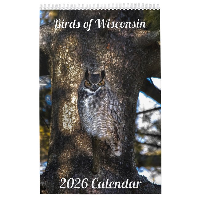 2026 Wisconsin Birds Calendar Kalender (Omslag)