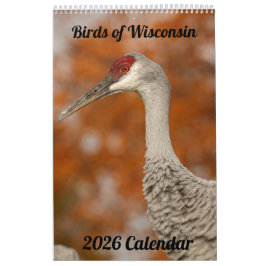 2026 Wisconsin Fåglar Kalender