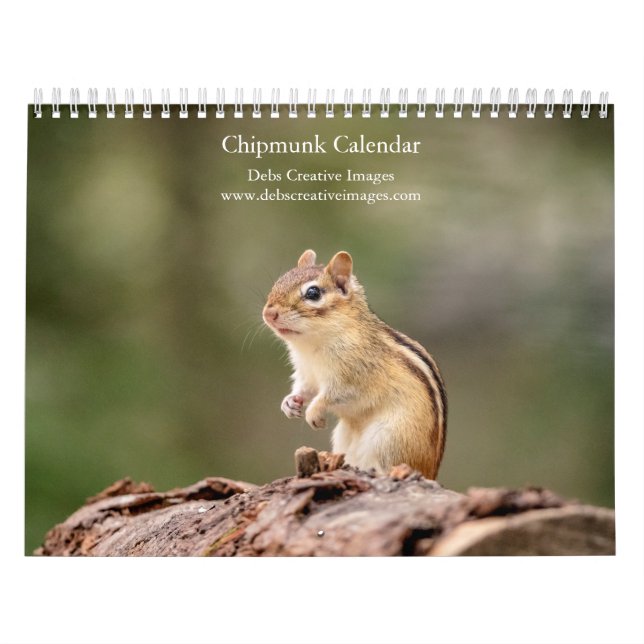 2027 Adirondack Chipmunks, Skogslevande Vilda Djur Kalender (Omslag)