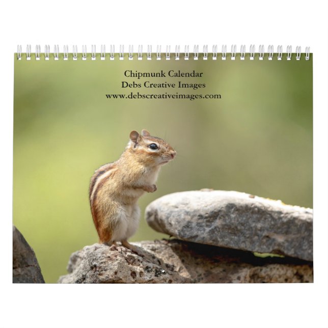 2027 Adirondack Chipmunks | Skogsliv Kalender (Omslag)