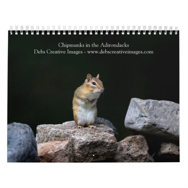 2027 Adirondack Chipmunks | Skogsvilda djur Kalender (Omslag)