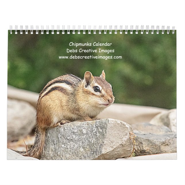 2027 Adirondack Chipmunks | Vilda djur fotograferi Kalender (Omslag)