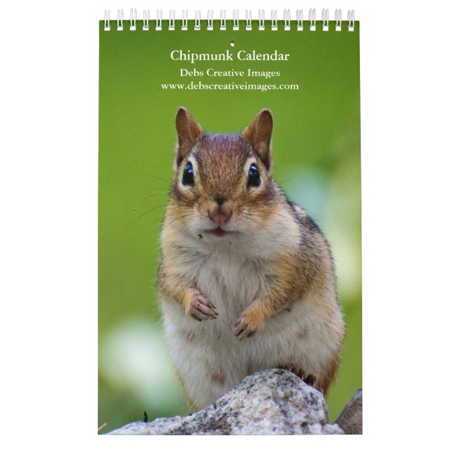 2027 Adirondack Chipmunks | Vildlivsfotografering Kalender (Omslag)