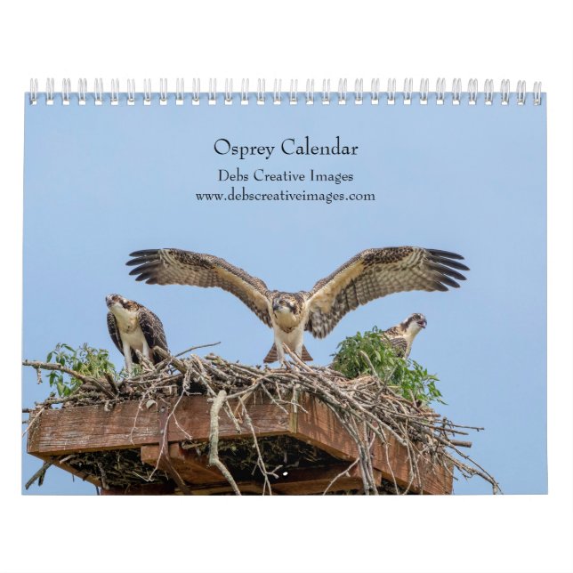 2027 Adirondack Fiskgjuse | Rovfågel fotografering Kalender (Omslag)