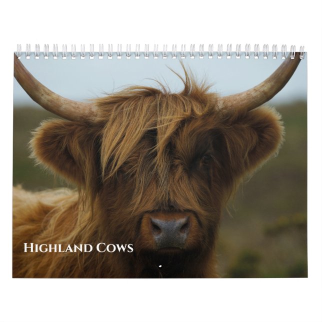 2027 älskad högländsk ko foto kalender (Omslag)
