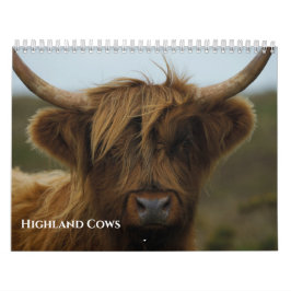 2027 älskad högländsk ko foto kalender