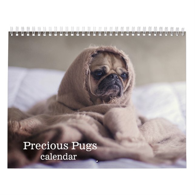 2027 Älskade Puggs Kalender (Omslag)