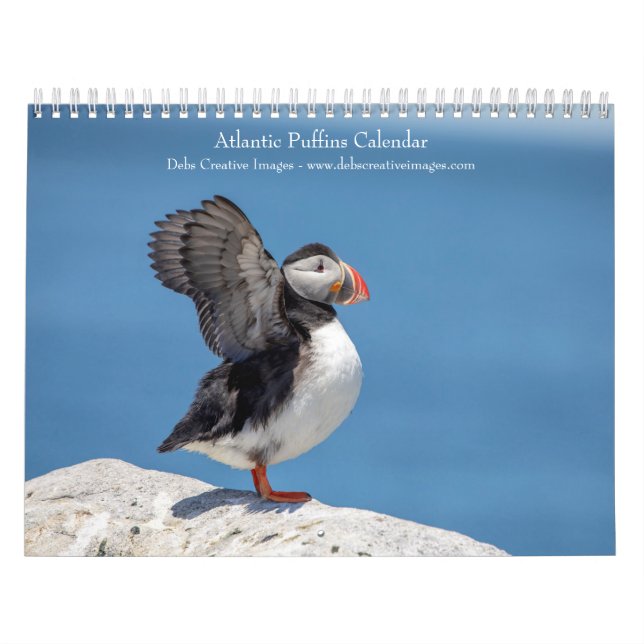 2027 Atlantiska Lunnefåglar | Fotografier av Kuste Kalender (Omslag)