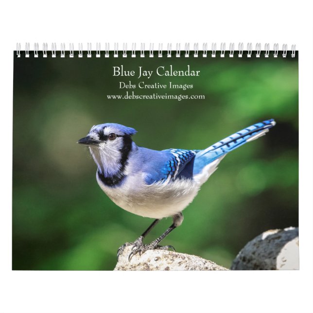 2027 Blå jays | Trädgårdsfotografering av fåglar Kalender (Omslag)