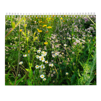 2027 Blomkalender Kalender