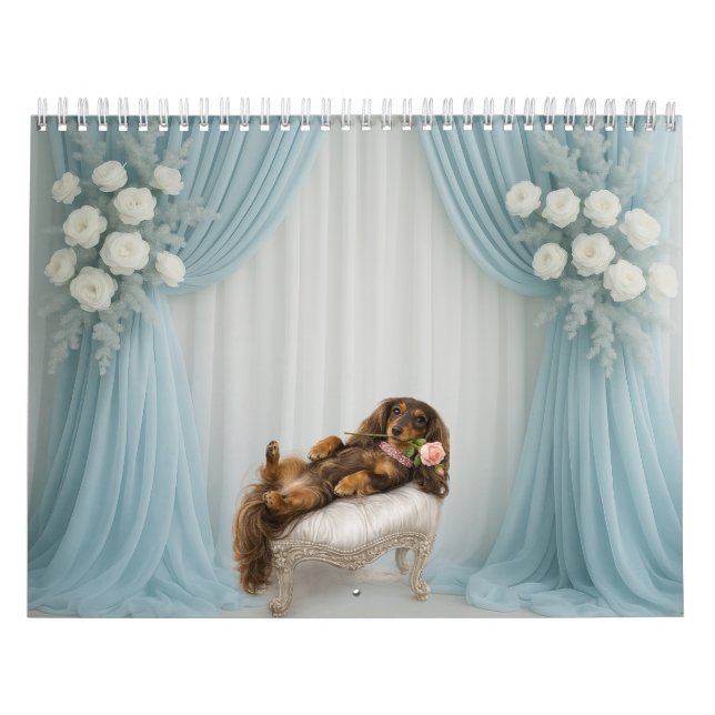 2027 Dachshund Kalender (Omslag)