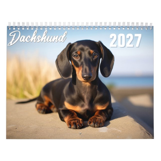 2027 Dackel Kalender (Omslag)