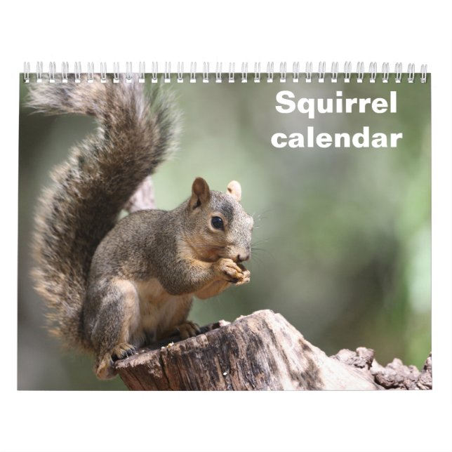 2027 Ekorre Kalender (Omslag)