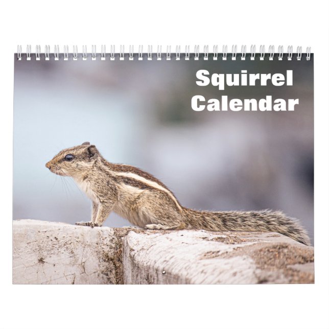 2027 Ekorre Kalender (Omslag)