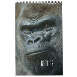 2027 Evig Twycross Gorilla Familj Kalender